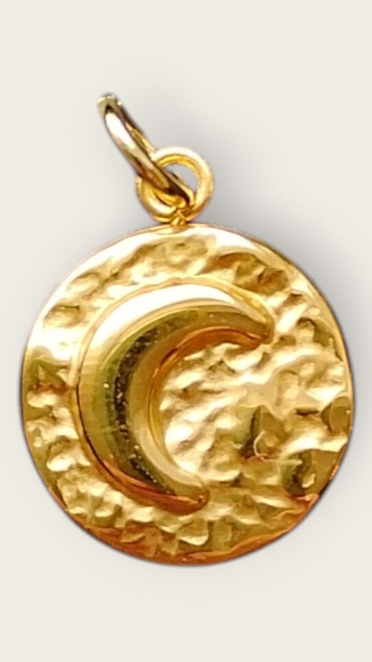 Mønt formet vedhæng med måne